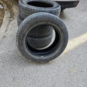 HAYLANDER PAKYRYŞKA PAKYRŞKA