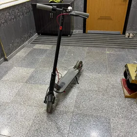 Skuter zapcas  tokly tigir
