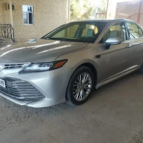 Toyota Camry 2019