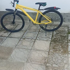 tigir 26 lyk