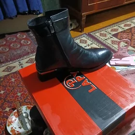 женские сапоги