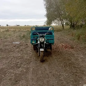 Fekon FK200-14G 2023
