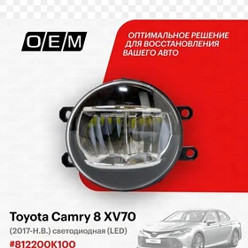 CAMRY TUMANNIK  RODNOI