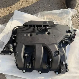 Kia Carnival mator Pauk