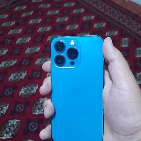 13 pro