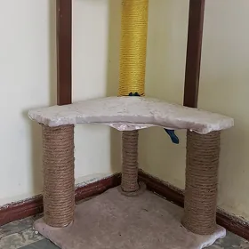 для кошек