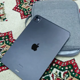 ipad pro m4 100%/256GB