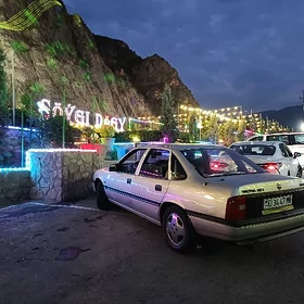 Opel Vectra 1989