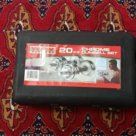20 kg ganten