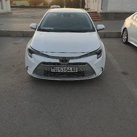 Toyota Corolla 2023