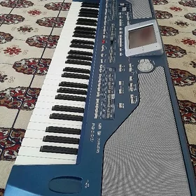 Korg Pa800