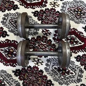 gantel 10kg