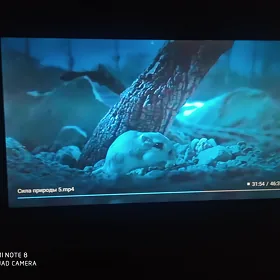 Xiaomi 50" 4K Smart TV