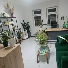 Padwal 100kw arenda berjek 3 k