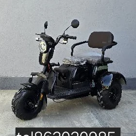 Tokly  3 teker skuter tigir