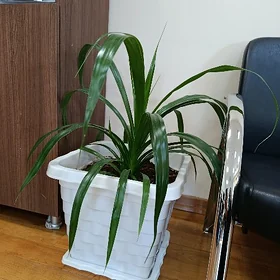 Ofis we otag gulleri