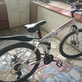 BMW welosiped