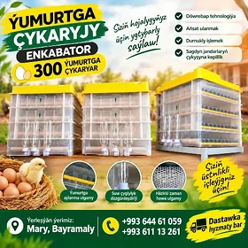 İnkubatr