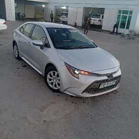 Toyota Corolla 2024