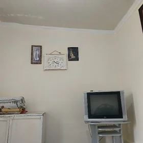 arenada jaylar