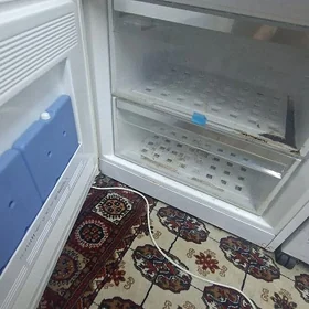 vestel haladinik