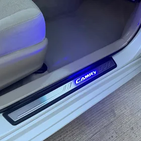 Parok ýazgy palta camry