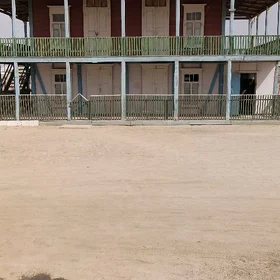 Agaç Jay