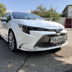 Toyota Corolla 2021