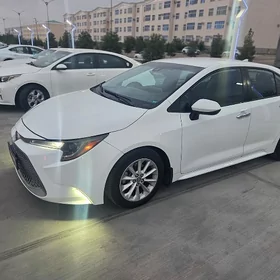 Toyota Corolla 2021