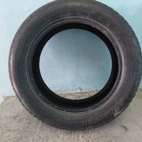 pakryska 235 55 18