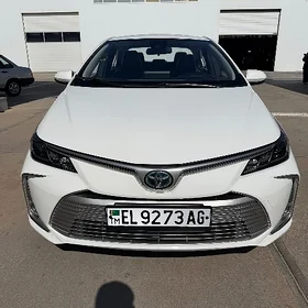 Toyota Corolla 2023