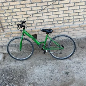 welık gyssagly