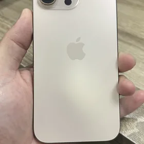 16 pro max 256gb