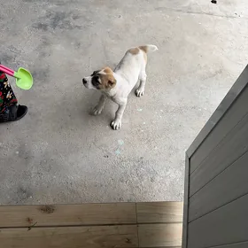 It