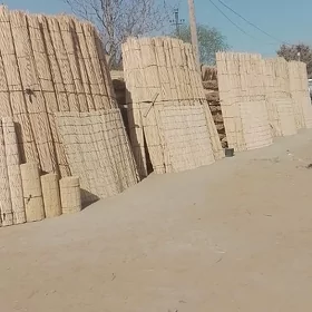 gamyş