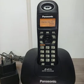 Panasonic