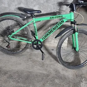 Turkmenistan tigir