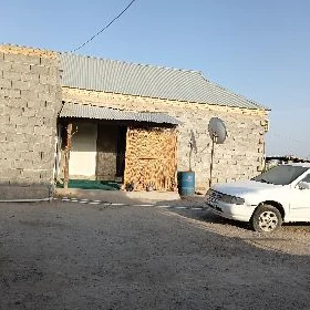 satlyk