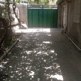 Ak Altyn