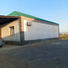 satlyk jaý