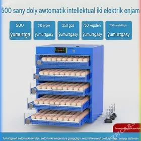 inkubator, jüýje çykarýan apar
