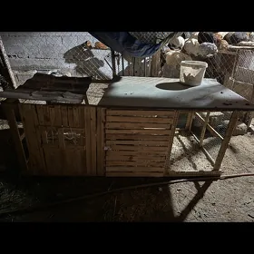 ketek