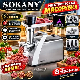 DAŸOWJA ET MAŞYN SOKANY 2400W
