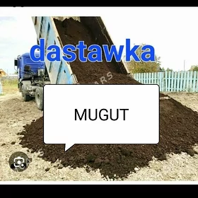 NALOWKA MITI SEMENT KERPIÇ GUM