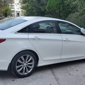 Hyundai Sonata 2010