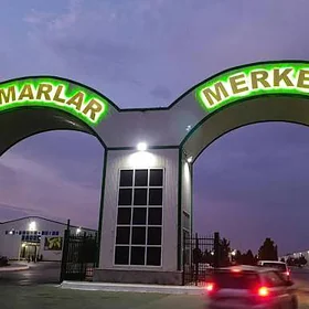 ✅Satlyk Ammar