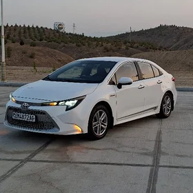 Toyota Corolla 2021