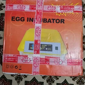 inkubator
