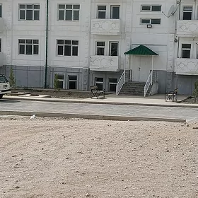 taze jaylar
