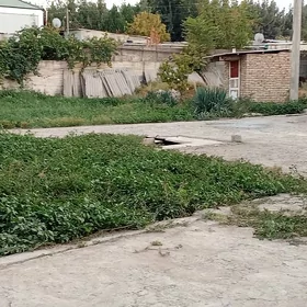 30 sotok Bagir satlyk